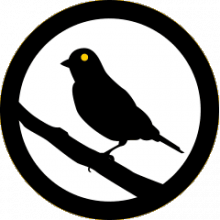 Canary-logo.png